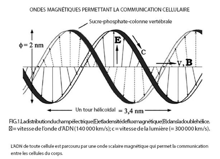 Ondes scalaires SWD Nicolas Tesla Frequences de Rife rolle vaud suisse